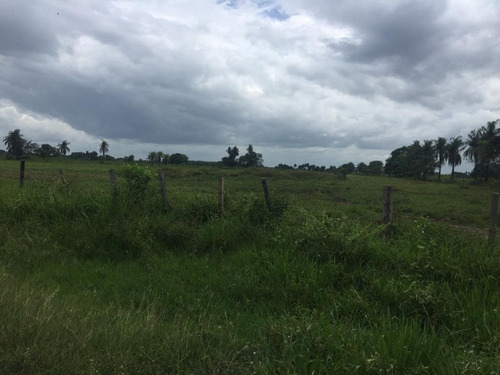Imagen 7 de 24 de Finca En Barinas A Orilla De La Carretera