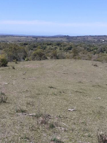 Venta De 60 Hectáreas Por Ruta 13 Paraje El Maturrango Roch (ref: Ksk-719)