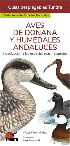 Aves De Doñana Y Humedales Andaluces Guias Desplegables Tun