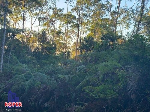 Imagem 16 de 23 de Chácara Com 35.000 M² Com 3 Casas/ Lago E Nascente À Venda Em Embu Guaçu/ São Lourenço Da Serra - Ch01031 - 34651874