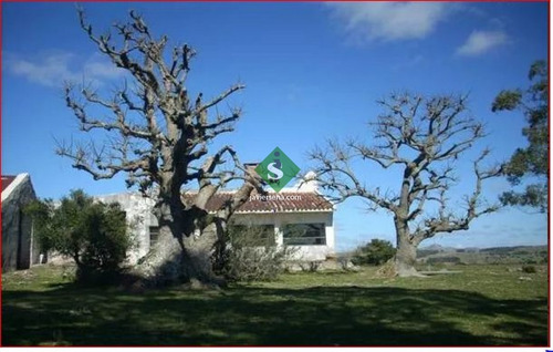 Venta De Campo En Lavalleja, Zona Del Penitente 528 Hectareas, Con Arroyo.- Ref: 168269