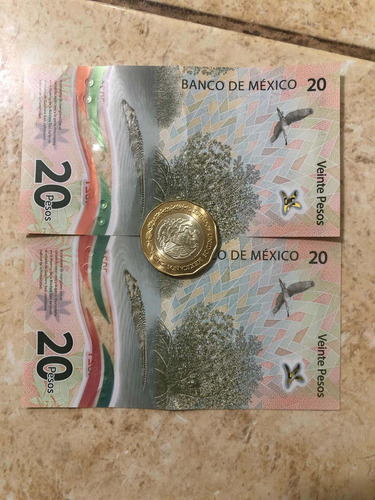 Billetes Y Moneda 20 Pesos