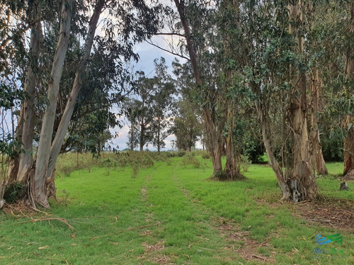 Vendo Chacra Ruta 9, Cerca De Pan De Azúcar, Maldonado. A 45   De Punta Del Este. Financia.