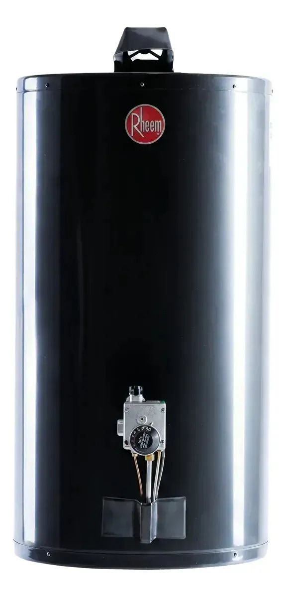 Termotanque a gas natural Rheem AEE TGNC080RH gris oscuro 80L