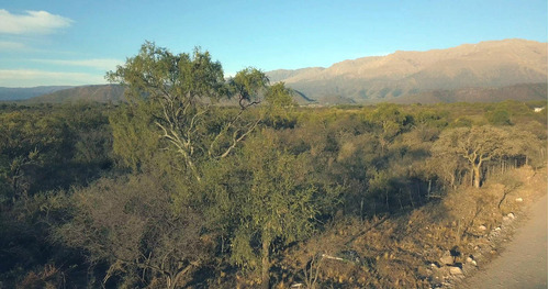 Venta De Terrenos Hectáreas En Quebrada De Los Pozos, Villa De Las Rosas, Traslasierra, Cordoba,