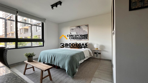 Arriendo Departamento Studio 25,1m2 Santiago Centro