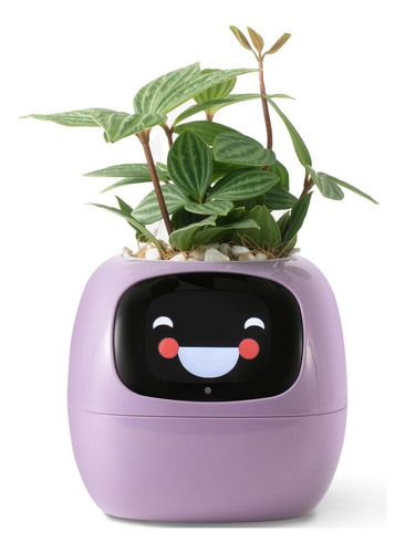 Robot Inteligente For El Cuidado De Plantas Guiado Por Emoji