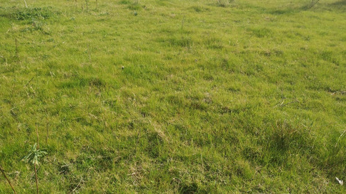 Imagen 11 de 11 de Campo Agroecológico 30 Has En Venta En El Peligro, Calle 420