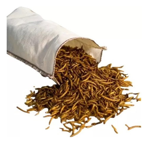 Tenebrio Deshidratado Super Premium 1 Kilo