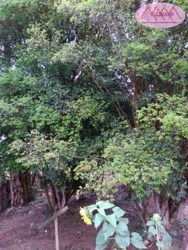 Chácara Para Venda Em Suzano, Chácaras São Judas Tadeu, 2 Dormitórios, 1 Banheiro, 2 Vagas - 0762/2021_2-1136486
