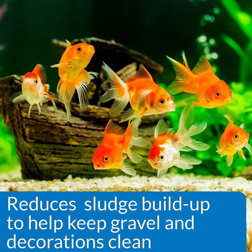 Api Goldfish Protect Aquarium Water Acondicionador De 4 Onza