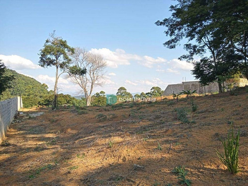 Imagem 1 de 10 de Terreno À Venda, 1000 M² Por R$ 250.000,00 - Nova Califórnia - Juiz De Fora/mg - Te0238
