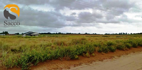 Imagen 4 de 6 de Lote En Venta En Sector Sur De #trenquelauquen