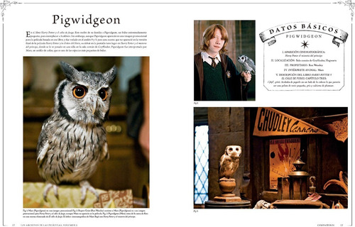 Imagen 2 de 6 de Harry Potter: Los Archivos De Las Películas Vol. 5.
