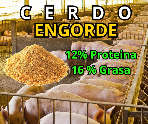 Comedero Cerdo Engorde 