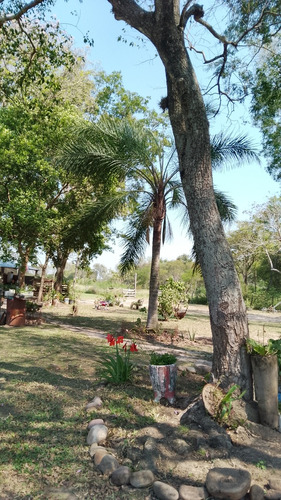 Quinta