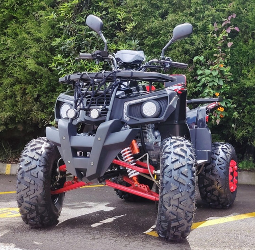 Imagen 2 de 15 de Cuatrimoto Boss 250cc