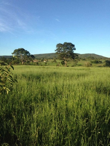 Fazenda De Gado Arinos Mg 2.250 Hectares 65.000,000,00 - 38491