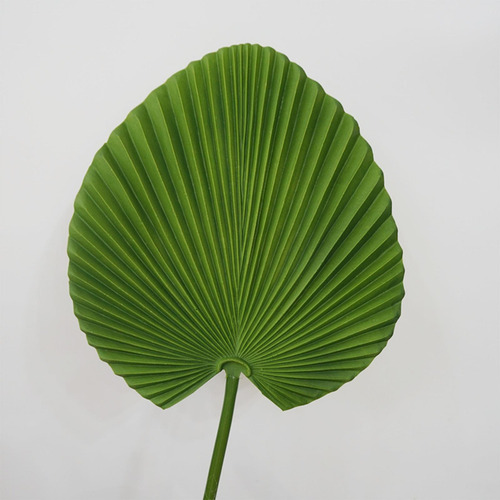 De Palma Artificial De 65 Cm De Altura Para Arreglos