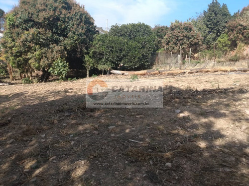 Chácara Com 03 Casas E Ponto Para Comércio (bar).