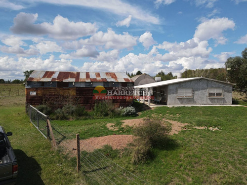 Imagen 20 de 23 de Chacra En Venta, Canelón Chico, 3 Has, Muy Linda Casa!