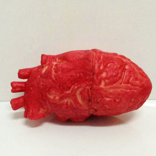 Látex De Látex Falso Con Forma De Corazón Humano, Tamaño Nat