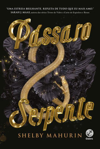 Pássaro E Serpente (vol. 1) - Vol. 1, De Mahurin, Shelby. Editora Galera Record, Capa Mole Em Português