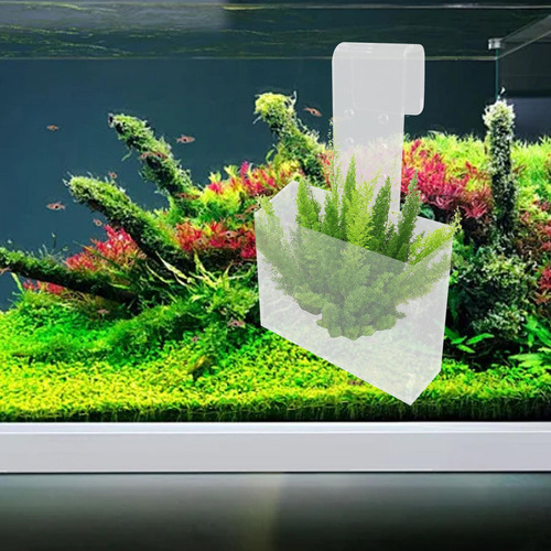 Taza De Planta De Acuario Con Gancho, Contenedor Colgante,