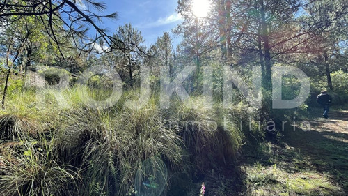 Imagen 11 de 27 de Terreno En Venta Salazar, Estado De México