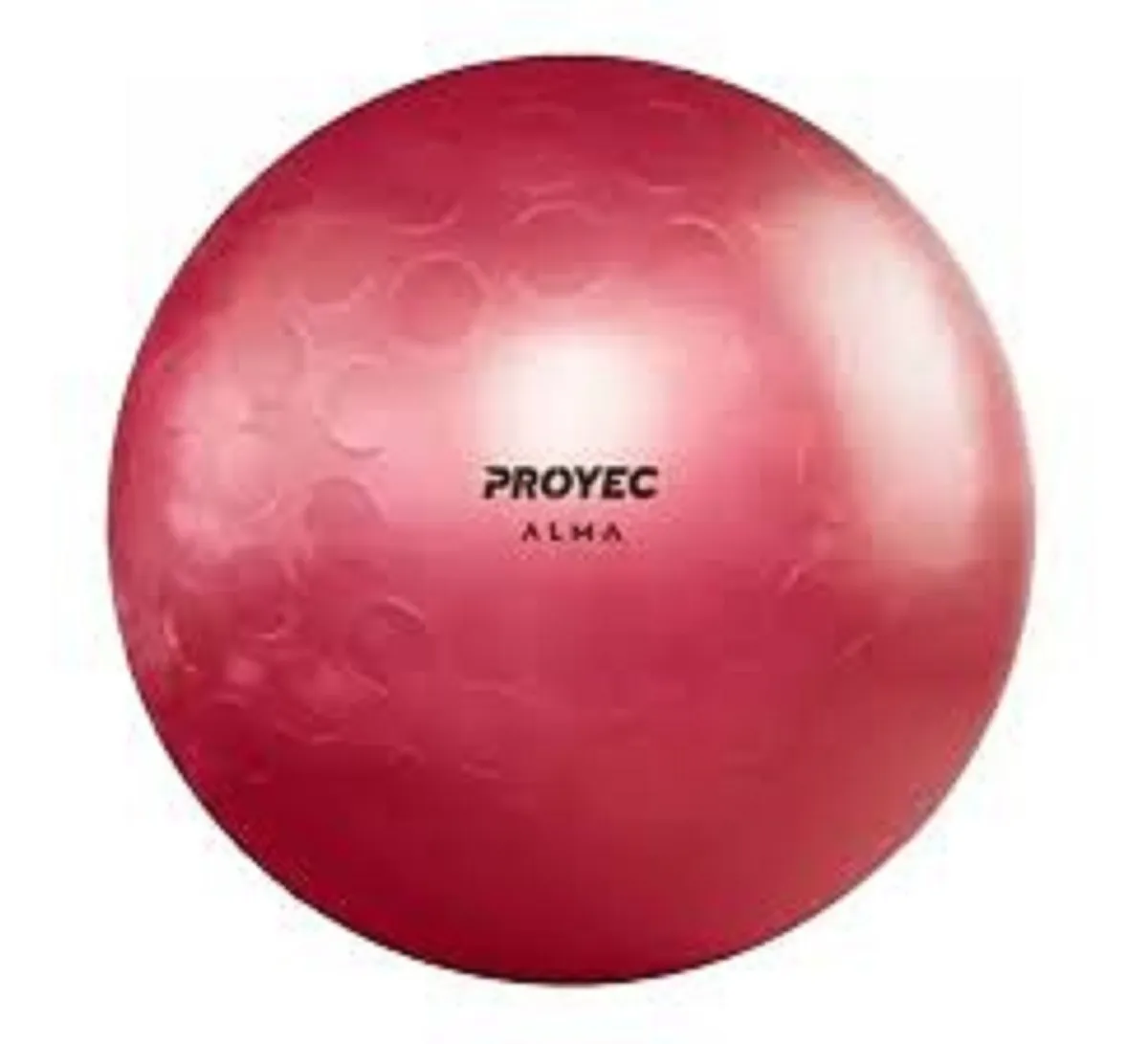 Pelota Esferodinamía 65cm Pilates Yoga