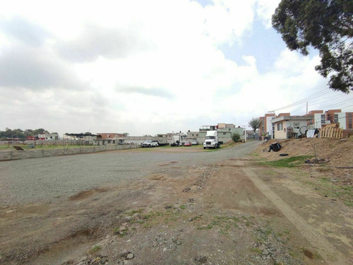 Imagen 3 de 12 de Terreno En Renta En Sanctorum