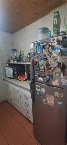 Porvenir Con Las Palmeras