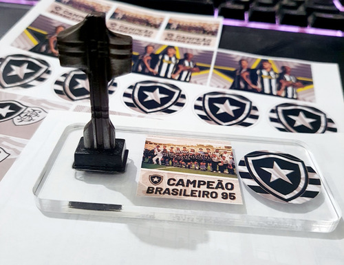 Mini Taça Botafogo Campeão 1995