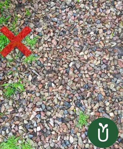 Herbicida Glifosato 1l - No Selectivo - Elimina Todo - Envío