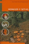 Hongos Y Setas : Tesoros De Nuestros Montes - Juan Andrã...