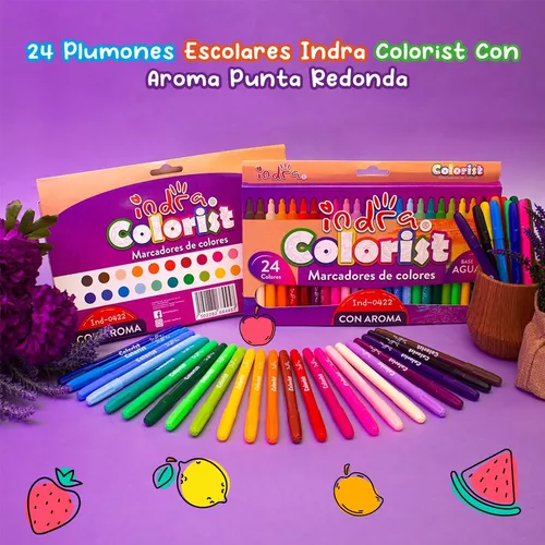 PLUMONES BICOLOR – 24 COLORES – Comercial Larrain