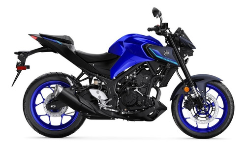 Imagen 4 de 25 de Motocicleta - Yamaha - Mt-03 A