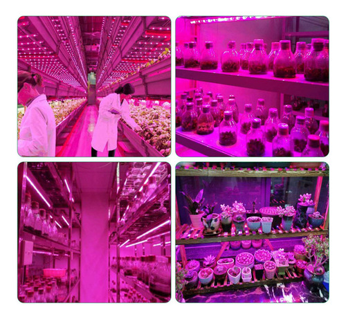 2 Tiras De Luces Led Para Cultivo, De Espectro Completo, 5 V