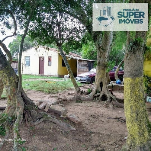 Imagem 6 de 7 de Sítio A Venda No Bairro Centro Em Morro Redondo - Rs. - 2088-1