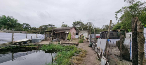 Imagem 1 de 14 de Mini Chácara Com Lago Em Itanhaém Litoral