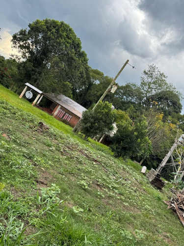Venta Monte Nativo