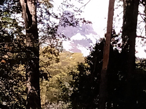 Venta De Lote Arbolado En Villa Traful Patagonia Argentina