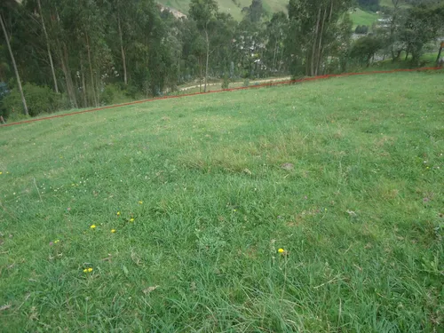 Se Vende Finca Idonea Para Su Proyecto