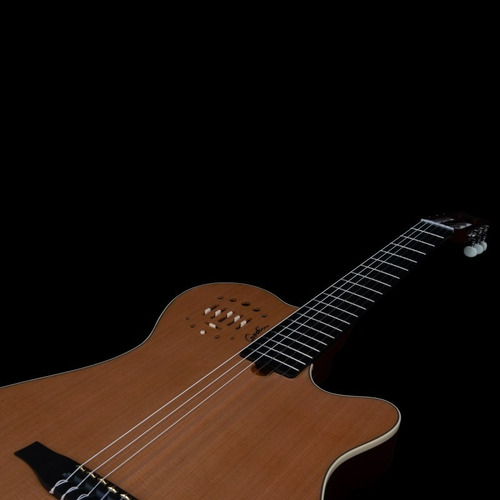 Godin Multiac Grand Concert Deluxe Con Soft Case