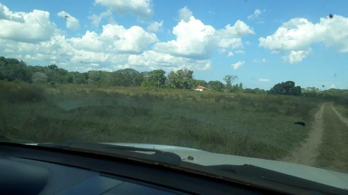Imagem 13 de 17 de Fazenda - Área Rural A Venda Em Barão De Melgaço - Mt - Fa0191