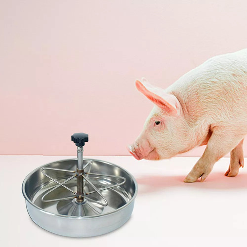 Q Cuenco De Comida Para Cerdos, Cuenco De Alimentación