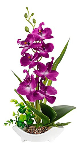 Orquídea Phalaenopsis Morada Maceta, Decoración De 