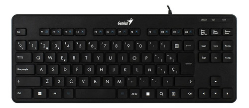 Teclado Genius Qwerty Luxemate110 Usb Español