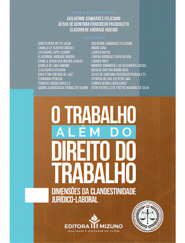 O Trabalho Além Do Direito Do Trabalho, De Silva Da. Editora Mizuno Em Português