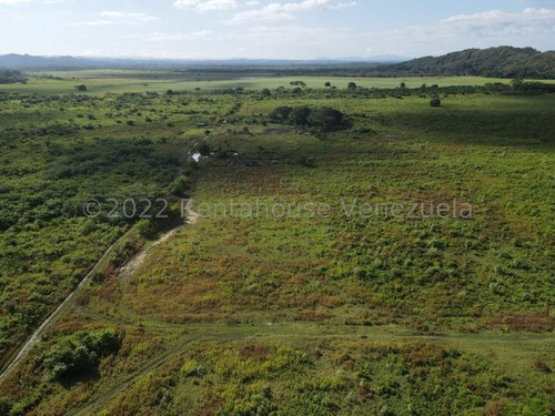 Finca En Venta Sabana De Parra Yaracuy Rah 23-14891 // Invierta Seguro Con Rentahouse//